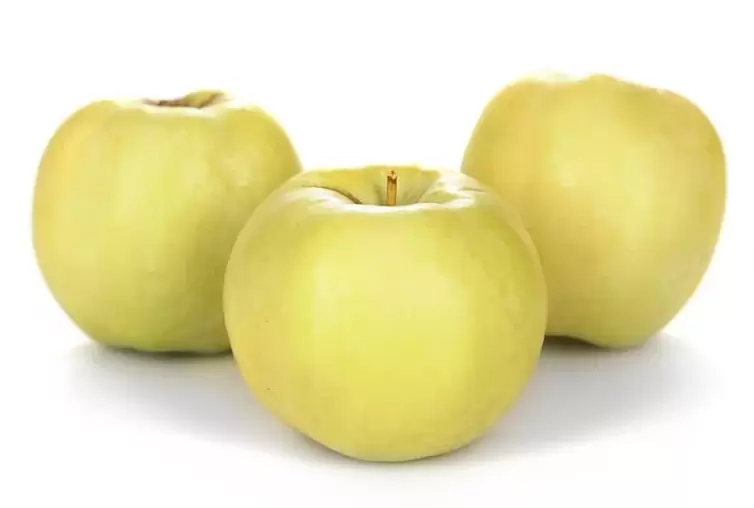 Manzanas utilizadas para tratar las venas varicosas. 
