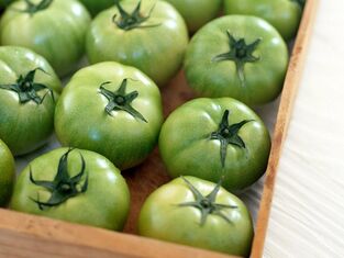 tomates verdes contra las varices